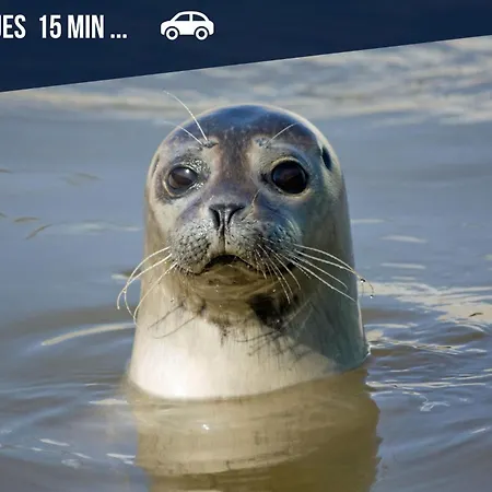 La Dorange * Sailly-Flibeaucourt